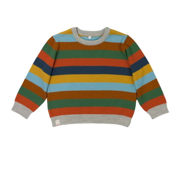 Strickpullover Unisex Gestreift Bunt